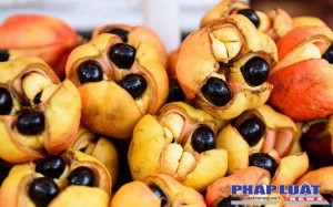 3 món ăn nguy hiểm "sai 1 ly, đi thẳng luôn" mà các nước trên thế giới vẫn đang ăn