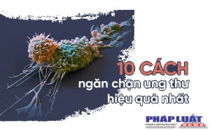 10 chuyên gia đúc kết 10 nguyên tắc 'vàng' phòng tránh ung thư: Ghi nhớ để tự cứu mình