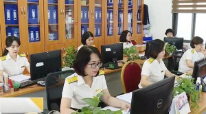 Nhận diện những bất cập trong một số Luật thuộc lĩnh vực đầu tư, tài chính và kiến nghị sửa đổi (bài 3)