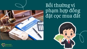 Hành vi của bà A vi phạm hợp đồng đặt cọc, phải chịu trách nhiệm bồi thường