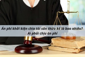 Mức án phí phải nộp trong tranh chấp thừa kế (?)