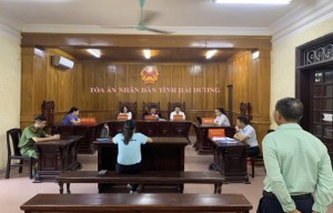 Bình luận Án lệ số 67/AL về người được nhận hiện vật khi chia tài sản chung