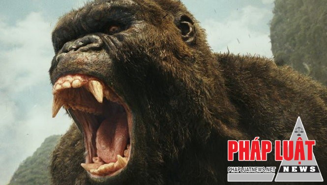 Những hình ảnh ấn tượng của Kong Skull Island, phim sẽ ra mắt khán giả toàn thế giới và VN từ 10-3 - Ảnh: CGV