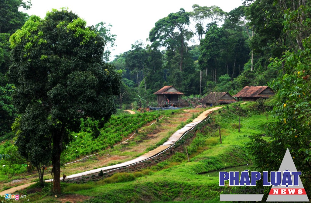 Mùa hè về thiên đường sinh thái Măng Đen