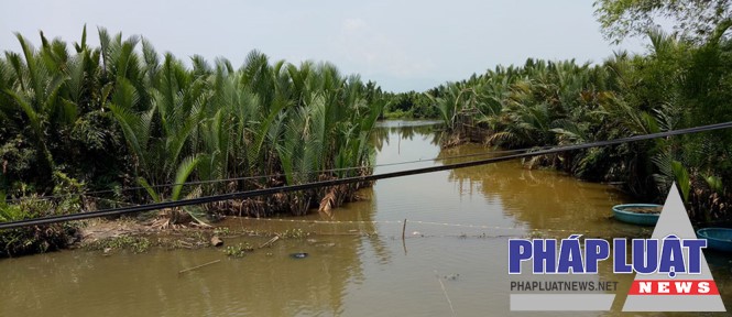 Hàng chục héc ta rừng dừa nước ở xã Bình Phước sẽ bị phá bỏ