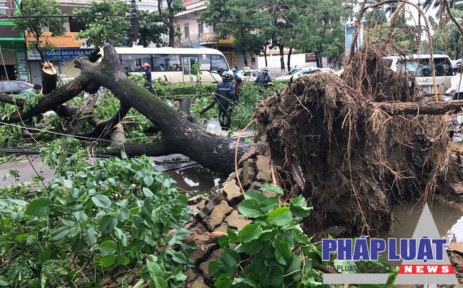 Ghi nhận sáng 17/7 tại TP Vinh. Ảnh: Ngọc Tú/Trí Thức Trẻ.