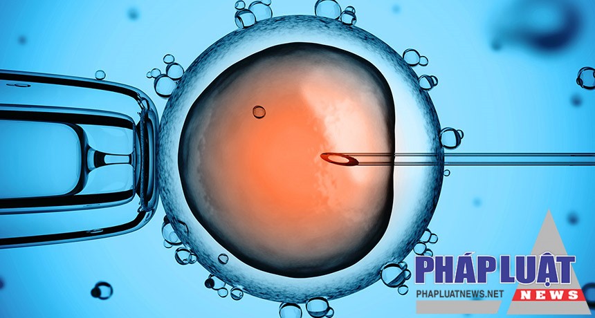 Đột phá lớn: Các nhà khoa học chỉnh sửa được gen trong phôi thai