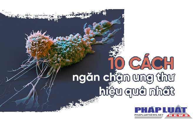 10 chuyên gia đúc kết 10 nguyên tắc 'vàng' phòng tránh ung thư: Ghi nhớ để tự cứu mình