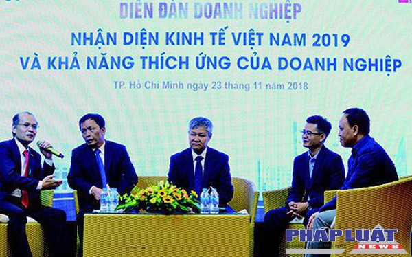 Kinh tế 2019, đỉnh cao hay vực sâu